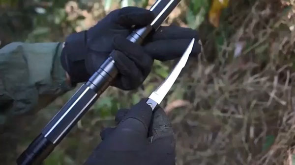 walking stick trekking pole