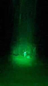 Green Light Tactical Flashlight review